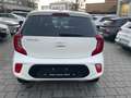Kia Picanto 1.0 Vision Facelift Kam. KlimaA LM Navi Weiß - thumbnail 7