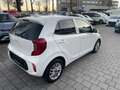 Kia Picanto 1.0 Vision Facelift Kam. KlimaA LM Navi Weiß - thumbnail 5