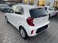 Kia Picanto 1.0 Vision Facelift Kam. KlimaA LM Navi Weiß - thumbnail 6