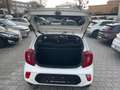 Kia Picanto 1.0 Vision Facelift Kam. KlimaA LM Navi Weiß - thumbnail 8