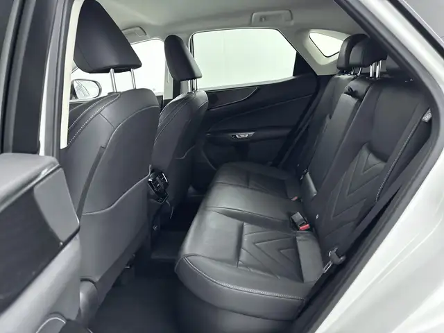 Lexus NX view 7
