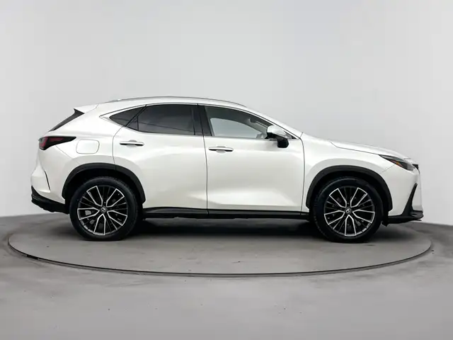 Lexus NX view 10