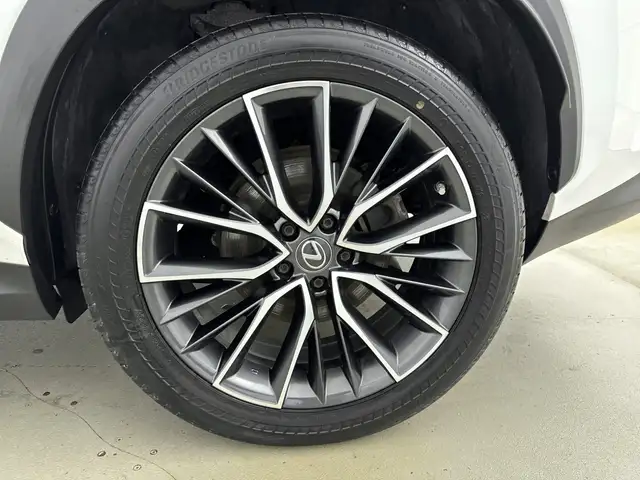 Lexus NX view 8