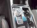 Ford Edge ST-Line 4x4 2,0 EcoBlue Wit - thumbnail 18