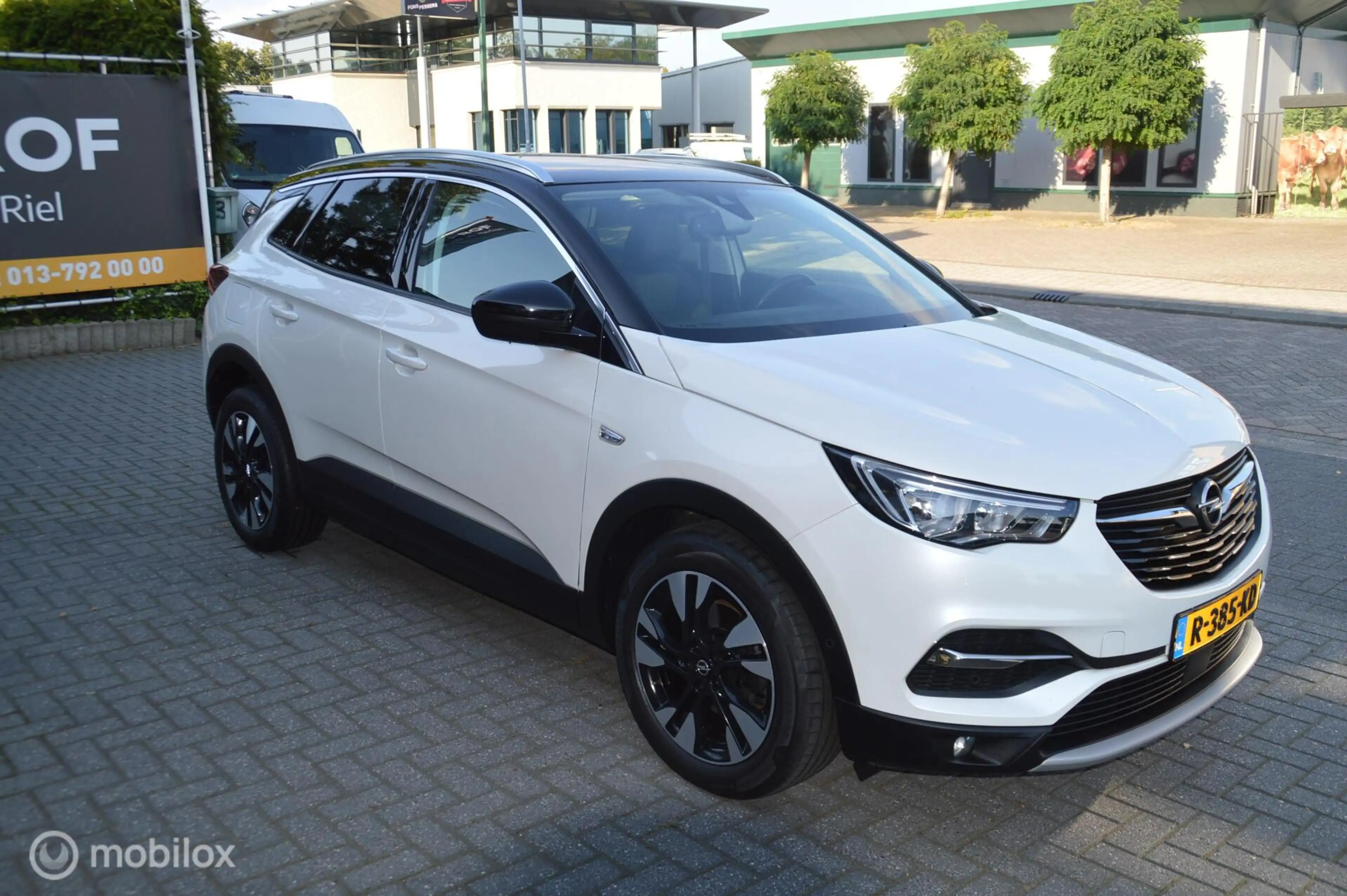 Opel Grandland X 1.2 Turbo Innovation — photo 6