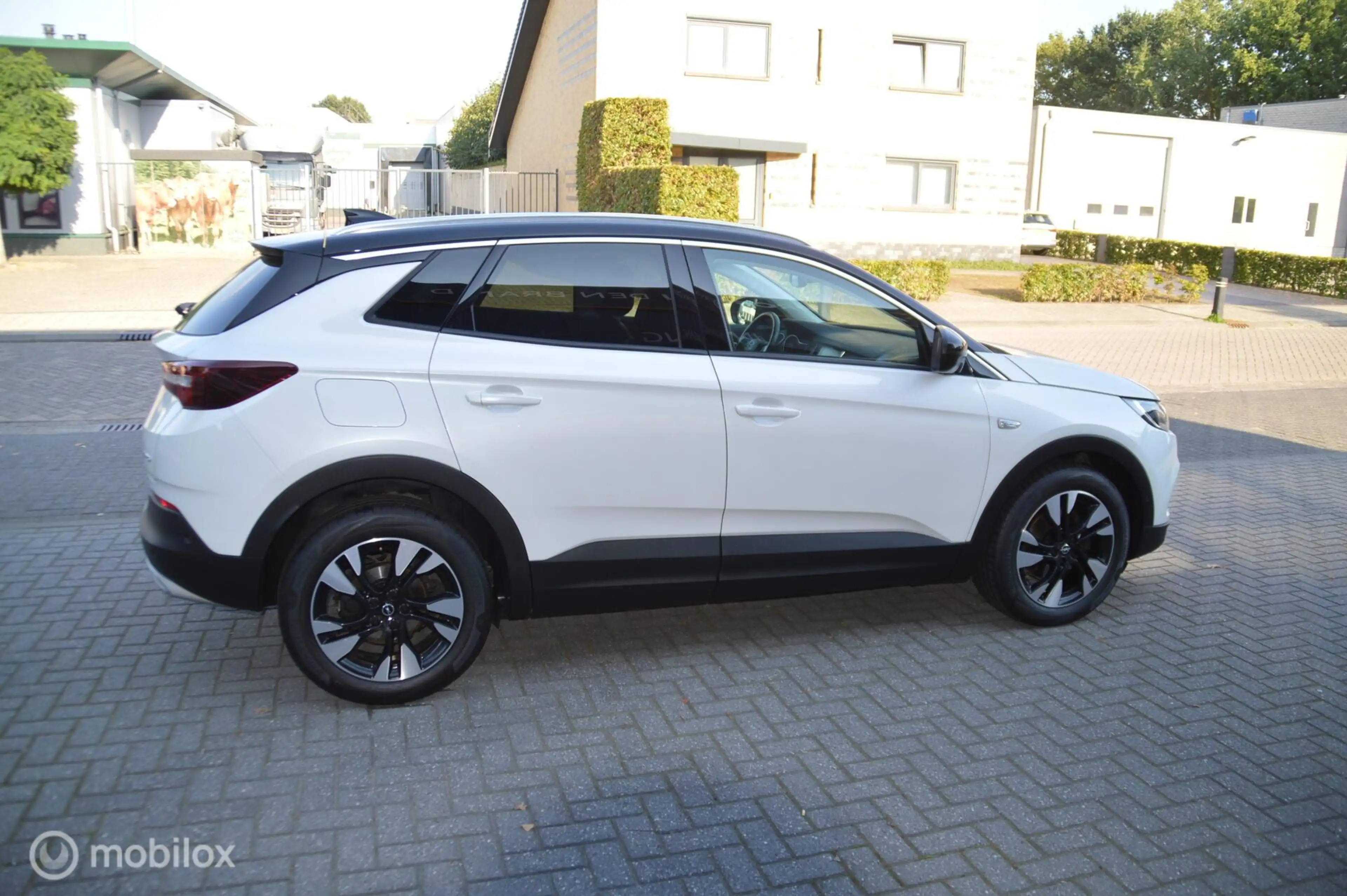 Opel Grandland X 1.2 Turbo Innovation — photo 8