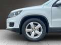 Volkswagen Tiguan 1.4TSI Trend & Fun BMT SHZ PDC Klima 2.Hd Weiß - thumbnail 17