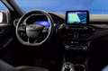 Ford Kuga 2.5 full hybrid ST-Line X 2wd 190cv cvt Rosso - thumbnail 10