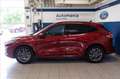 Ford Kuga 2.5 full hybrid ST-Line X 2wd 190cv cvt Rosso - thumbnail 3