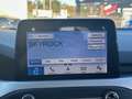 Ford Focus 1.5 ECOBLUE 95CH TREND BUSINESS 89G Blanc - thumbnail 13