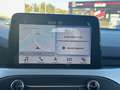 Ford Focus 1.5 ECOBLUE 95CH TREND BUSINESS 89G Blanc - thumbnail 12