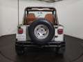 Jeep Wrangler YJ Gris - thumbnail 25