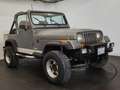 Jeep Wrangler YJ Gris - thumbnail 1