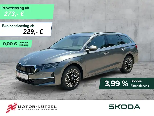 2025 Skoda Octavia in Grey for sale