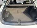 Volkswagen T-Roc GOAL 2.0 TDI DSG Navi AHK LED-Plus Weiß - thumbnail 18