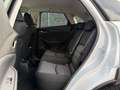 Mazda CX-3 2.0 Exclusive AWD/NAVI/PDC/8FACH/MFL/1.HAND Wit - thumbnail 18