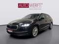 Skoda Octavia 2.0 TDI DSG SELECTION AHK CAM 17Z FAMILY ASSISTED Schwarz - thumbnail 1
