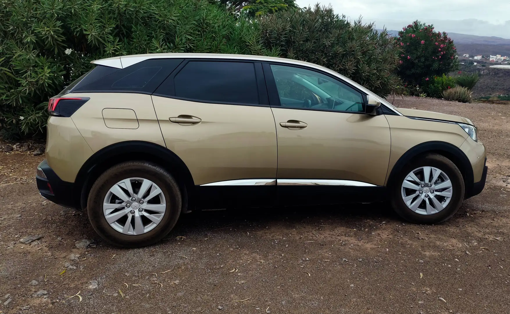 Peugeot 3008 3008 1.2 PureTech S Oro - 2
