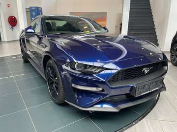 2.3 Fastback 290PK 10 traps Automaat