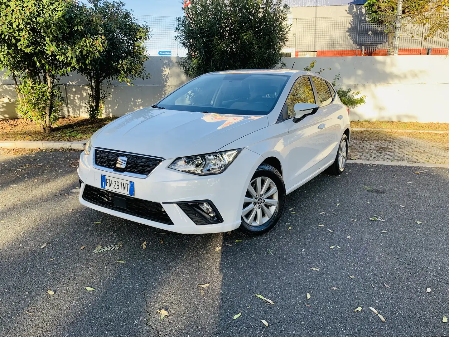 SEAT Ibiza 1.6 tdi Business 80cv - 1
