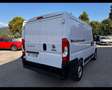 Fiat Ducato 290 30 2020 - Ducato 30 CH1 2.3 mjt 120cv E - thumbnail 5