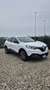 Renault Kadjar 1.5 dci energy Bose 110cv - thumbnail 7