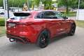 Jaguar F-Pace D200 AWD*R-Dynamic Black Pack*AHK*Pano Rojo - thumbnail 8