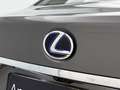 Lexus LS 500 500h AWD President Line | Luchtvering met Access-M Grau - thumbnail 22