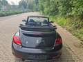 Volkswagen Beetle Cabriolet Allstar +1 Hd. +nur 49tkm Black - thumbnail 10