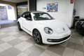 Volkswagen Maggiolino Cabrio 1.2 TSI CLUB BlueMotion Technology Blanc - thumbnail 6