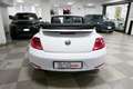Volkswagen Maggiolino Cabrio 1.2 TSI CLUB BlueMotion Technology Blanc - thumbnail 5