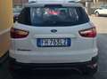 Ford EcoSport EcoSport 2014 1.5 Titanium 110cv E6 Bianco - thumbnail 6