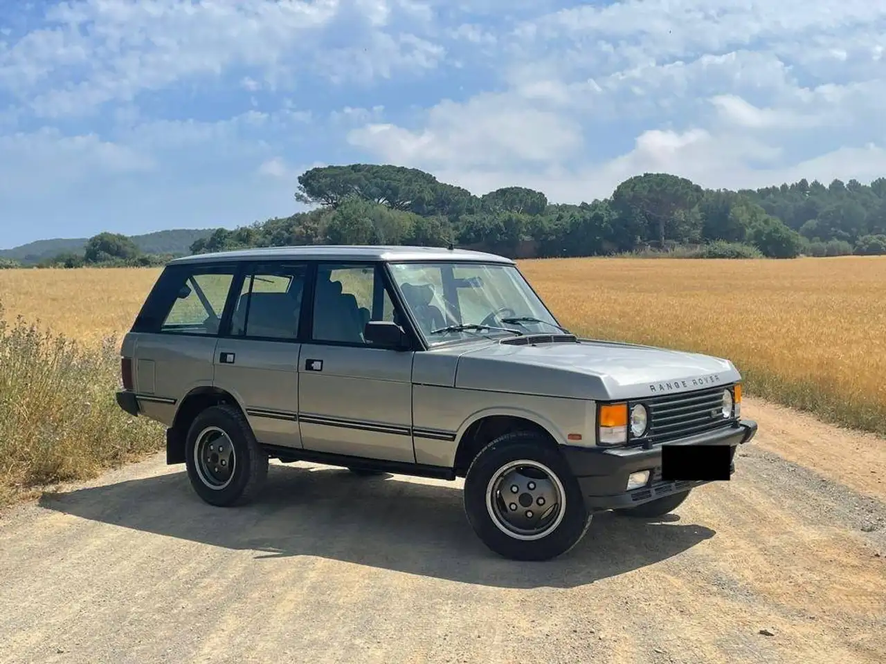 Land Rover Range Rover 3.9 Vogue SE Vogue SE, foto 5