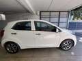 Kia Picanto Picanto 1.1 Trendy bi-fuel Bianco - thumbnail 5