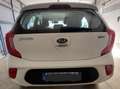 Kia Picanto Picanto 1.1 Trendy bi-fuel Bianco - thumbnail 8