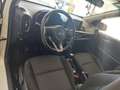 Kia Picanto Picanto 1.1 Trendy bi-fuel Bianco - thumbnail 6