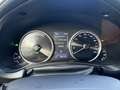 Lexus NX 300h E-FOUR F SPORT - thumbnail 10