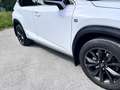 Lexus NX 300h E-FOUR F SPORT - thumbnail 7