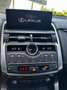 Lexus NX 300h E-FOUR F SPORT - thumbnail 13