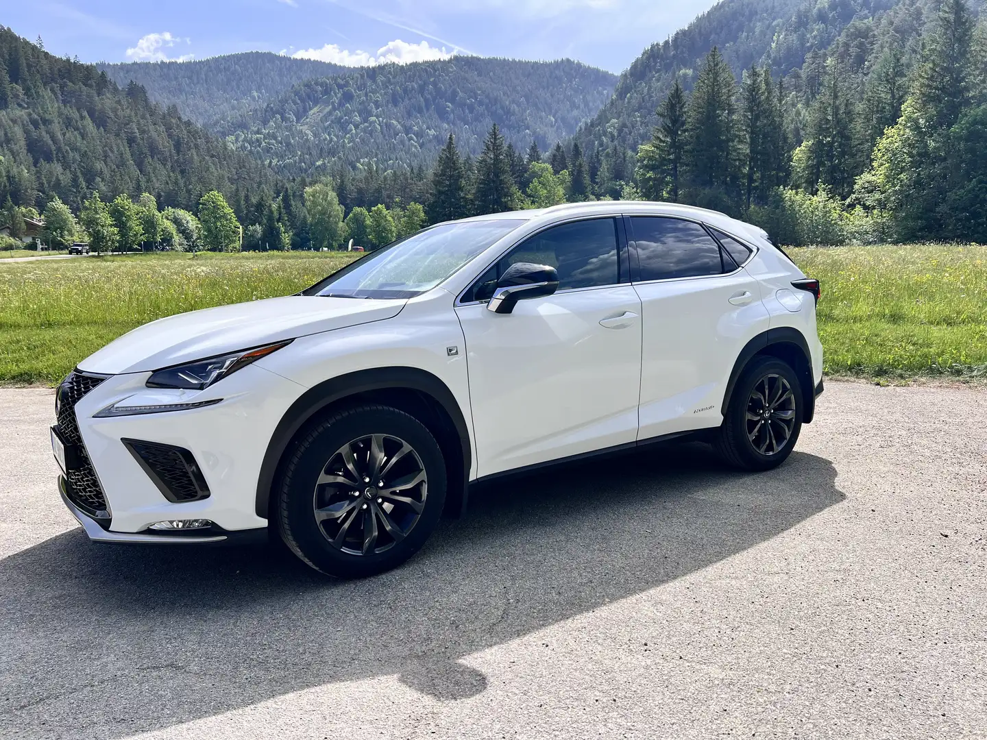 Lexus NX 300h E-FOUR F SPORT - 1