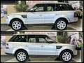 Land Rover Range Rover Sport 3.0 tdV6 SE 211cv auto 8m *Model Year 2013* Argento - thumbnail 4