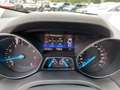Ford Kuga 1.5 Titanium 4x4 Schiebedach|Xenon|Allwetter Gris - thumbnail 20