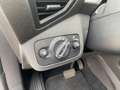Ford Kuga 1.5 Titanium 4x4 Schiebedach|Xenon|Allwetter Gris - thumbnail 19