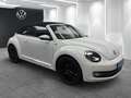 Volkswagen Beetle Cabriolet 1.2TSI Design XENON RFK NAVI Weiß - thumbnail 25