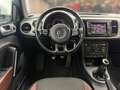Volkswagen Beetle Cabriolet 1.2TSI Design XENON RFK NAVI Weiß - thumbnail 22