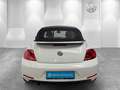 Volkswagen Beetle Cabriolet 1.2TSI Design XENON RFK NAVI Weiß - thumbnail 19