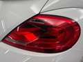 Volkswagen Beetle Cabriolet 1.2TSI Design XENON RFK NAVI Weiß - thumbnail 16