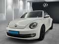 Volkswagen Beetle Cabriolet 1.2TSI Design XENON RFK NAVI Weiß - thumbnail 1