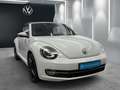 Volkswagen Beetle Cabriolet 1.2TSI Design XENON RFK NAVI Weiß - thumbnail 24