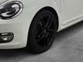 Volkswagen Beetle Cabriolet 1.2TSI Design XENON RFK NAVI Weiß - thumbnail 5